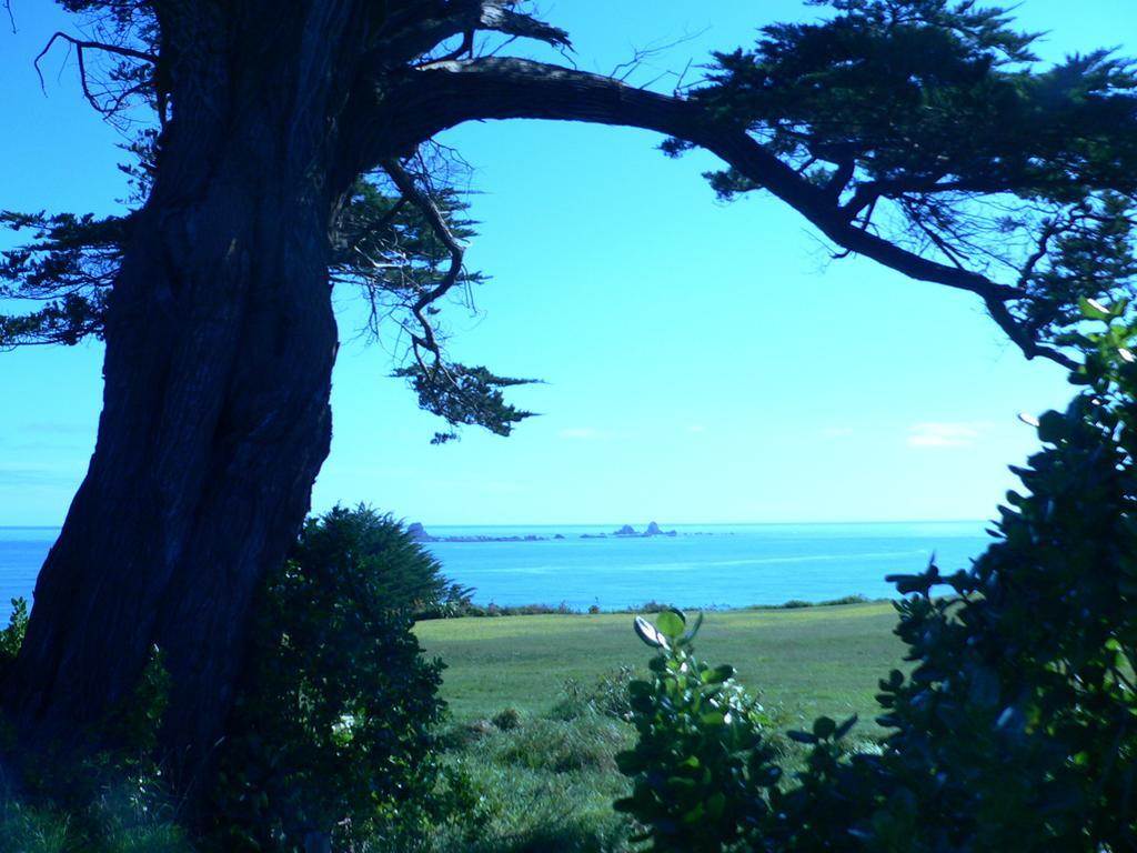 הוילה Cape Foulwind Omau Retreat מראה חיצוני תמונה